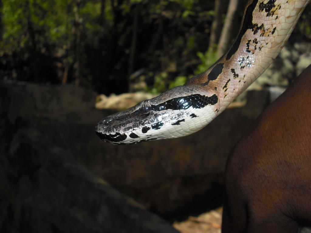 Nosy b, piccola isola del Madagascar